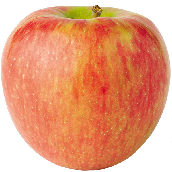 Jumbo Honey Crisp Apples 10 pounds 9 count  Main Image